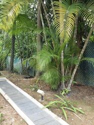 SIAN TUAN AVENUE (D21), Detached #545292601